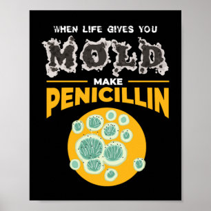Make Penicillin Microbiology Chemistry Poster