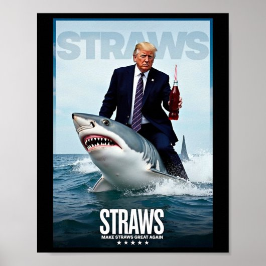 Make Straws Great Again Meme-Design Poster (Vorne)