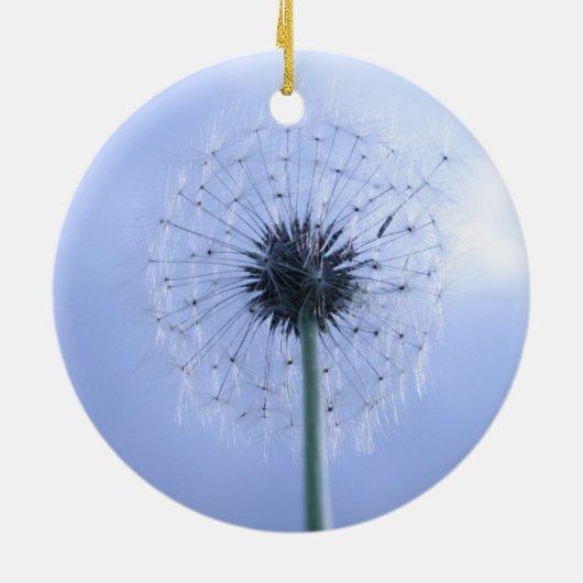 Makin' Wünsche Keramikornament (Hinten)