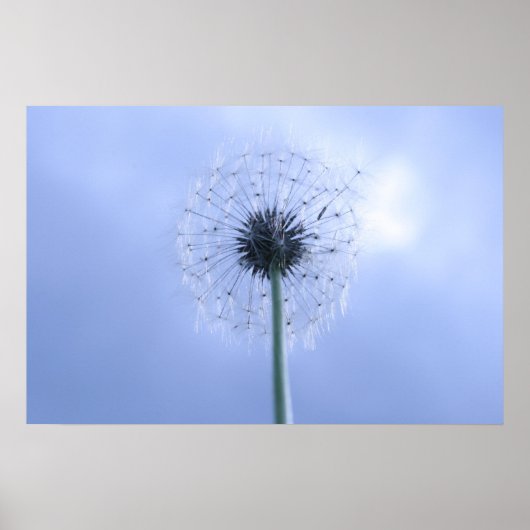 Makin' Wünsche Poster (Vorne)