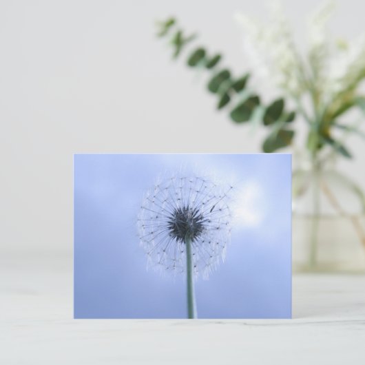 Makin' Wünsche Postkarte (Stehend Vorderseite)