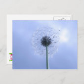 Makin' Wünsche Postkarte (Vorne/Hinten)