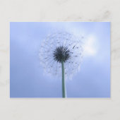 Makin' Wünsche Postkarte (Vorderseite)