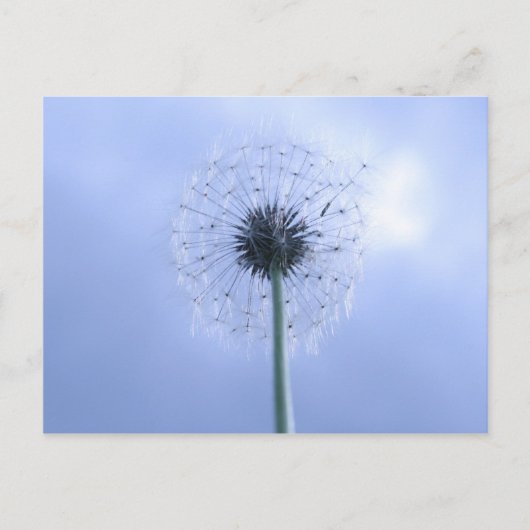 Makin' Wünsche Postkarte (Vorderseite)