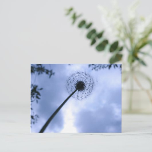 Makin' Wünsche Postkarte (Stehend Vorderseite)