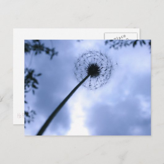 Makin' Wünsche Postkarte (Vorne/Hinten)