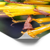 Making Contact Poster (Ecke)