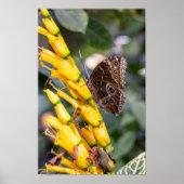 Making Contact Poster (Vorne)