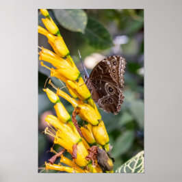 Making Contact Poster