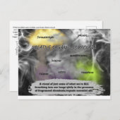 Making The Invisible Visible Postkarte (Vorne/Hinten)