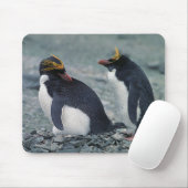 Makkaroni-Pinguine Mousepad (Mit Mouse)