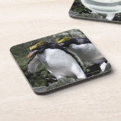 Makkaroni-Pinguine, Südgeorgia Getränkeuntersetzer (Linke Seite)