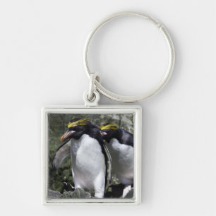 Makkaroni-Pinguine, Südgeorgia Schlüsselanhänger
