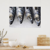 Makrele, frischer Fisch des Tages Poster (Küche)