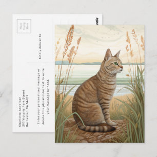 Makrelen-Tabby-Katze am Strand Postkarte