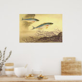 Makrelenfische Schwimmen im Ozean Poster (Küche)