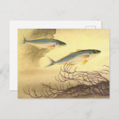 Makrelenfische Schwimmen im Ozean Postkarte (Vorne/Hinten)