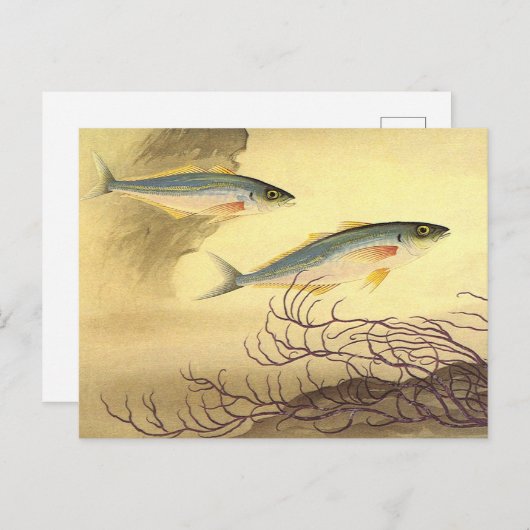 Makrelenfische Schwimmen im Ozean Postkarte (Vorne/Hinten)
