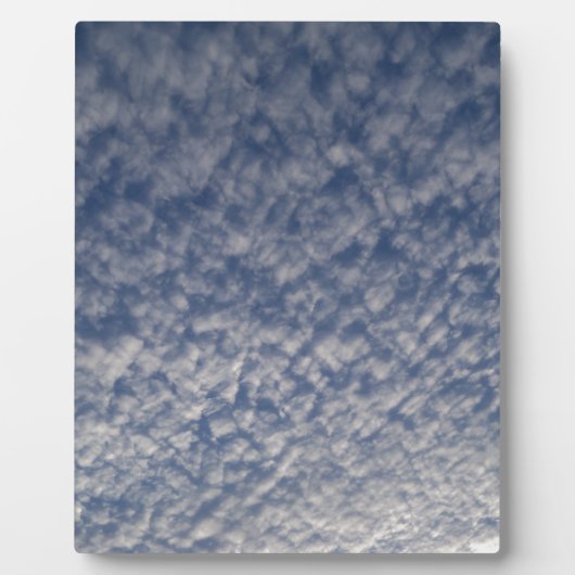 Makrelenhimmel Fotoplatte (Vorderseite)