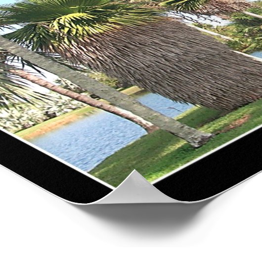 Makrelenpalme Poster (Ecke)