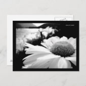 Makro B&W Blume durch Postkarte (Vorne/Hinten)