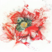 Makro-Blossom in ausgeblendetem Rot Aufkleber (Vorderseite)