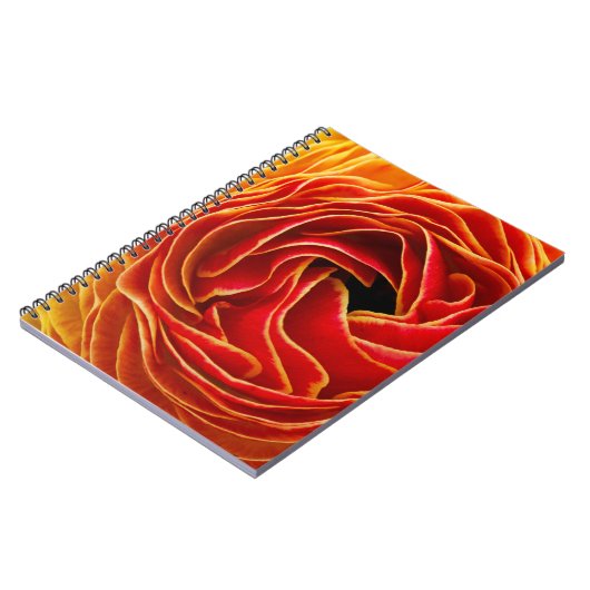 Makro-Blume| Blume Fields Carlsbad, CA Notizblock (Linke Seite)