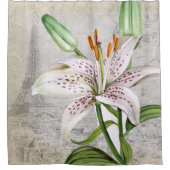 Makro-Blume Duschvorhang (Vorderseite)