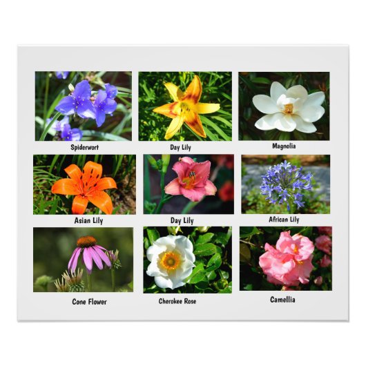 Makro-Blume Foto Erweiterung (Vorne)