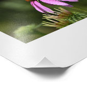 Makro-Blume Foto Erweiterung (Ecke)