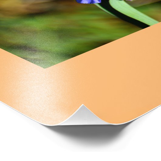 Makro-Blume Foto Erweiterung (Ecke)