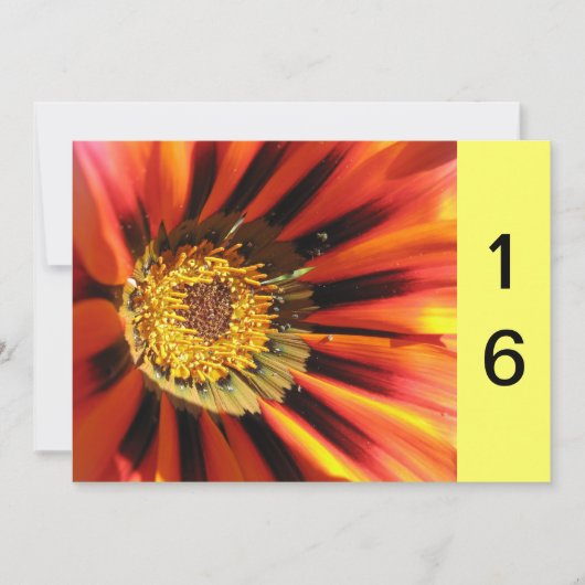 Makro Blume Sweet 16 Einladung (Vorderseite)
