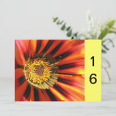 Makro Blume Sweet 16 Einladung (Stehend Vorderseite)