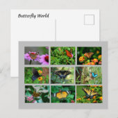 Makro Butterfells Postkarte (Vorne/Hinten)