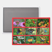 Makro Butterfells Postkarte Magnet (Vorderseite/Rückseite)