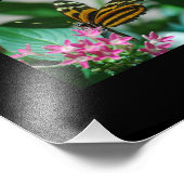 Makro-Butterflies-Foto-Erweiterung Fotodruck (Ecke)