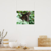 Makro Butterfly Print Poster (Küche)
