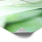 Makro Butterfly Print Poster (Ecke)