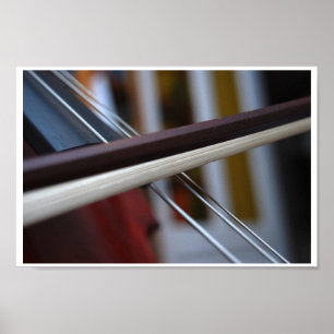 Makro-Cellosaite und Bogen Poster