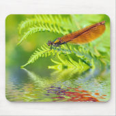 Makro-Damselfly auf Farn über Wasser Mousepad (Vorne)