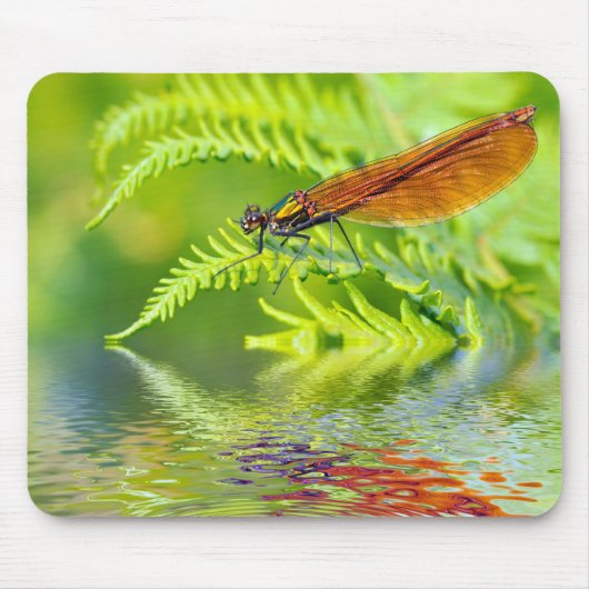 Makro-Damselfly auf Farn über Wasser Mousepad (Vorne)