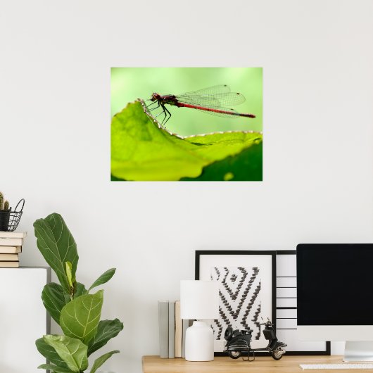 Makro-Damselon Poster (Heimbüro)