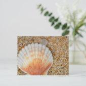 Makro der Scallop Sea Muschel in Sand on Beach Postkarte (Stehend Vorderseite)