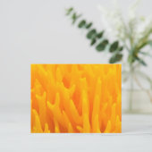 Makro des Pilzes Postkarte (Stehend Vorderseite)