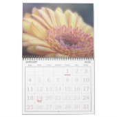 Makro-Foto-Blume Kalender (Jan 2026)