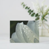 Makro-Foto-Blume Postkarte (Stehend Vorderseite)