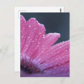 Makro-Foto-Blume Postkarte (Vorne/Hinten)