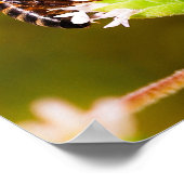 Makro-Foto einer Honigbiene Poster (Ecke)