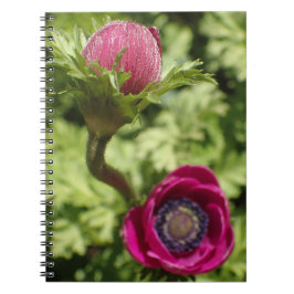 Makro-Foto fett exotisch rosa lila Blume Notizblock