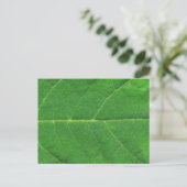 Makro Foto Leaf Postkarte (Stehend Vorderseite)